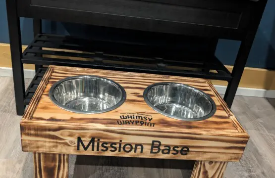 PXL 20260130 183933271